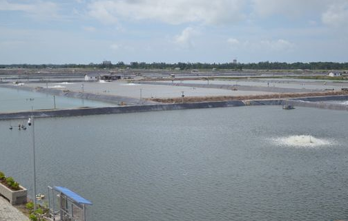 �B(y��ng)ֳˮ̎��